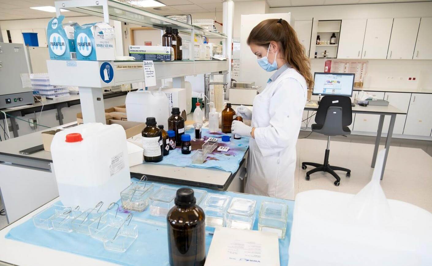 image of Laboratoire des méduses