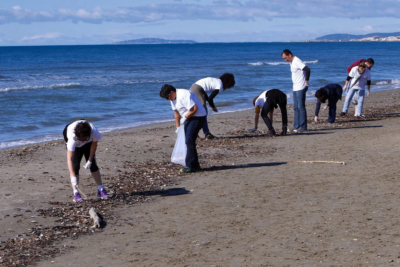 image of Ramassage de déchets sur la plage